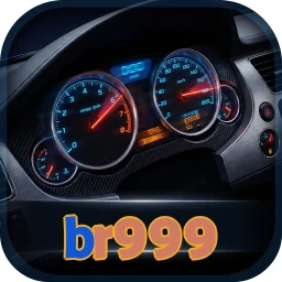 br999